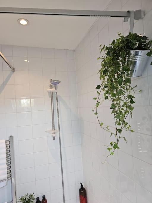 Cosy And Quiet One Bedroom Thames Flat Londra Esterno foto